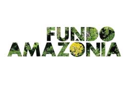 Fundo Amazônia 